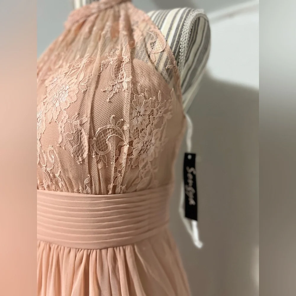 Sonsiya Blush Pink Lace Chiffon Maxi Dress Size 12 Formal Gown NWT - Picture 10 of 12